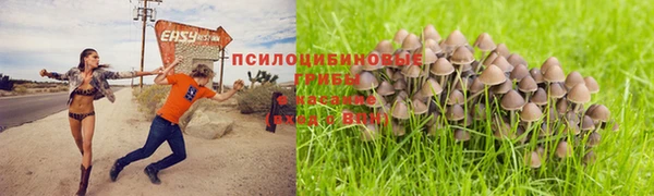 таблы Красноперекопск