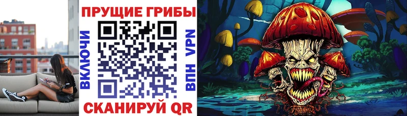 Псилоцибиновые грибы прущие грибы  Лосино-Петровский 